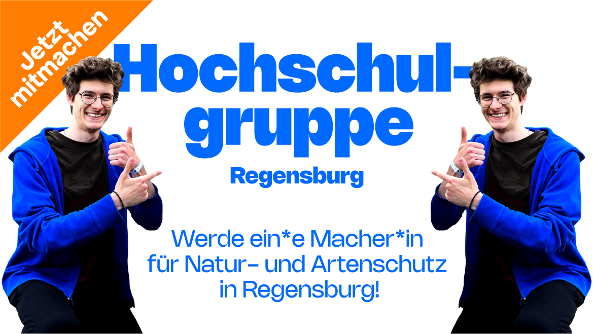 Hochschulgruppe Regensburg: Jetzt Mitmachen!