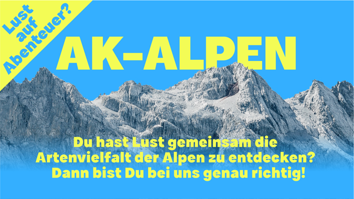 AK Alpen: Lust auf Abenteuer?