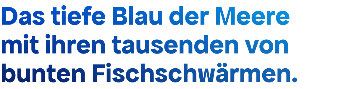 Das tiefe Blau der Meere mit ihren tausenden von bunten Fischschwärmen. 