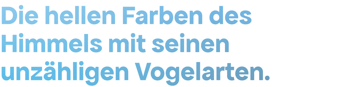 Die hellen Farben des Himmels mit seinen unzähligen Vogelarten.