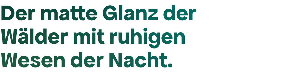 Der matte Glanz der Wälder mit ruhigen Wesen der Nacht.