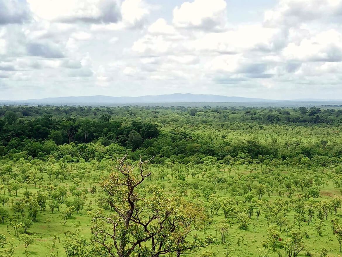 Erhöhter Ausblick von einem Plateau auf eine grüne, fruchtbare Savanne
