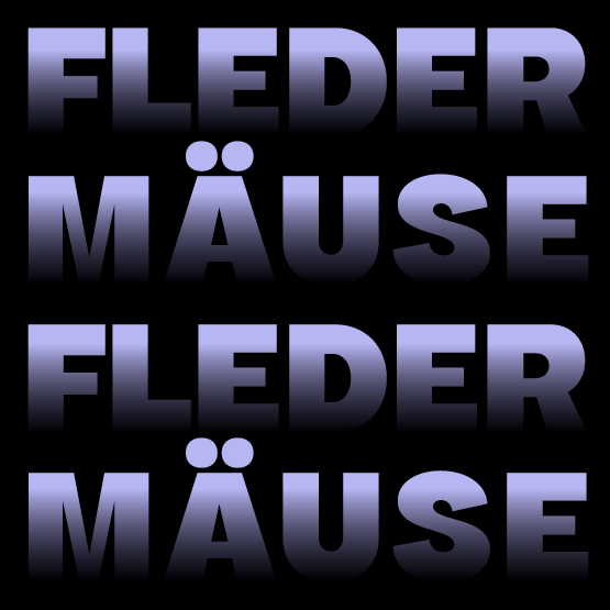 Thumbnail_Fledermaeuse_lautlose_Nachbarn