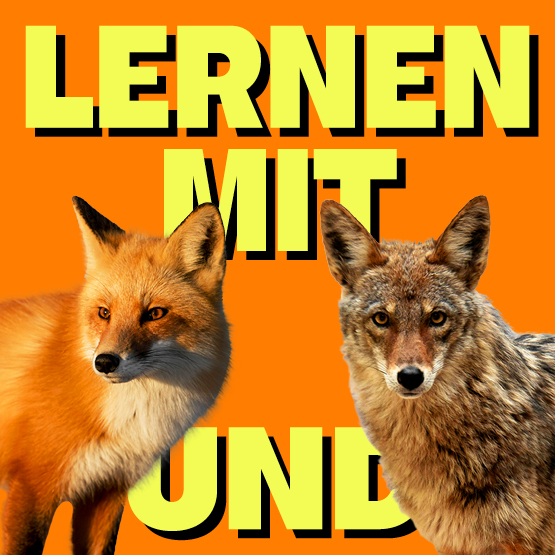 Thumbnail_Lernen_mit_Fuchs_und_Coyote