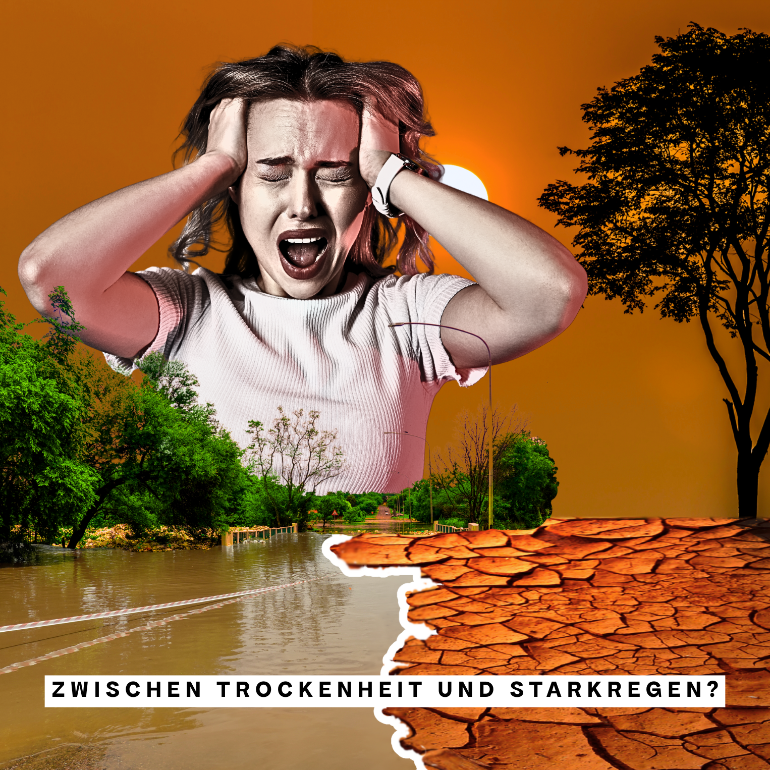 Wildwuchs 2025  (34)