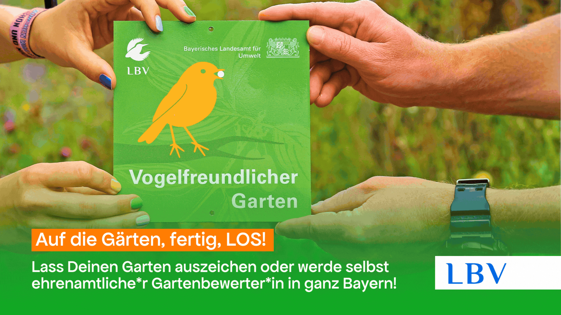 2026 Mitmachen Wildwuchs (1)