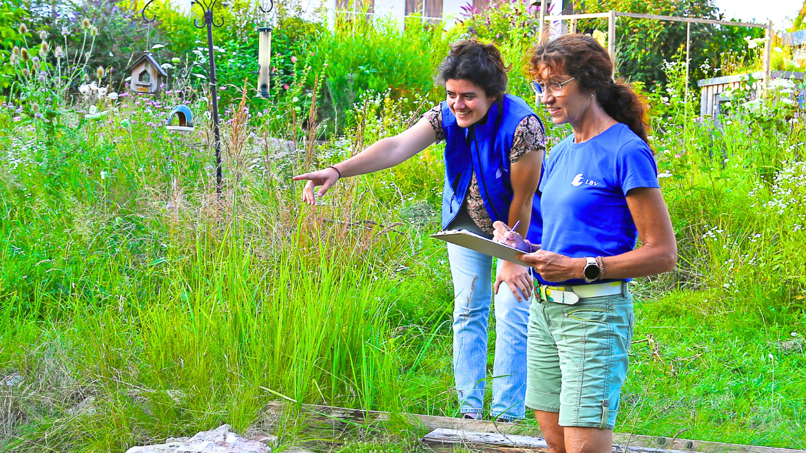 2026 Mitmachen Wildwuchs (1)