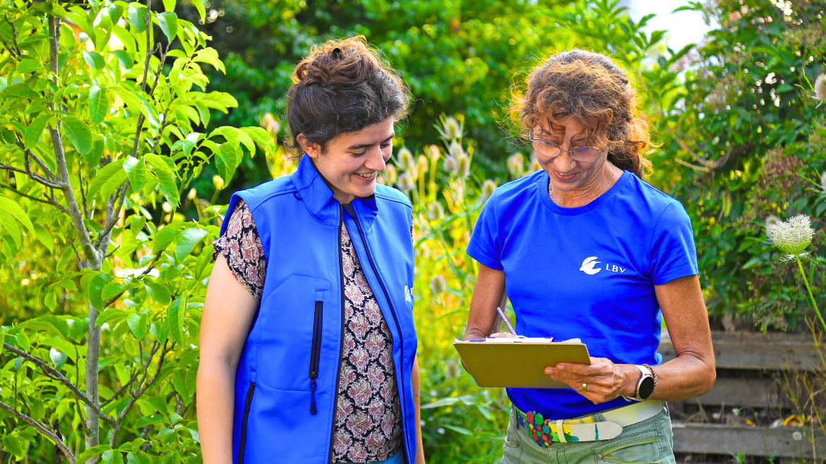 2026 Mitmachen Wildwuchs (2)