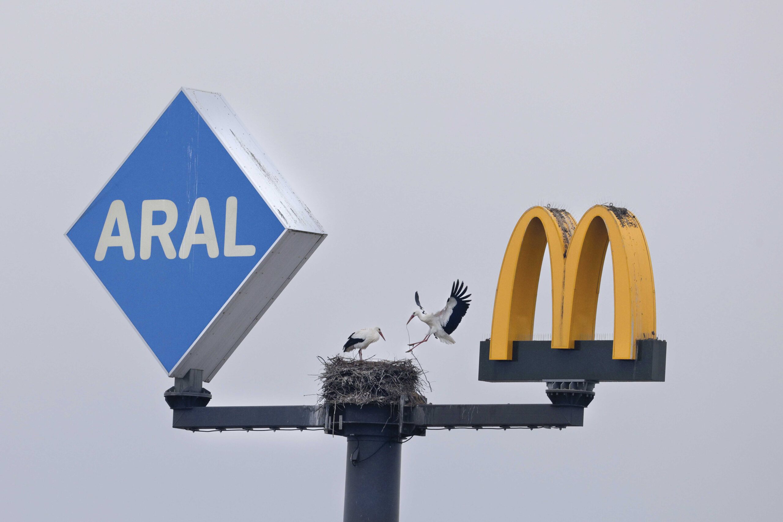 B_AK3_3_Lennart_Straßberger (OR)