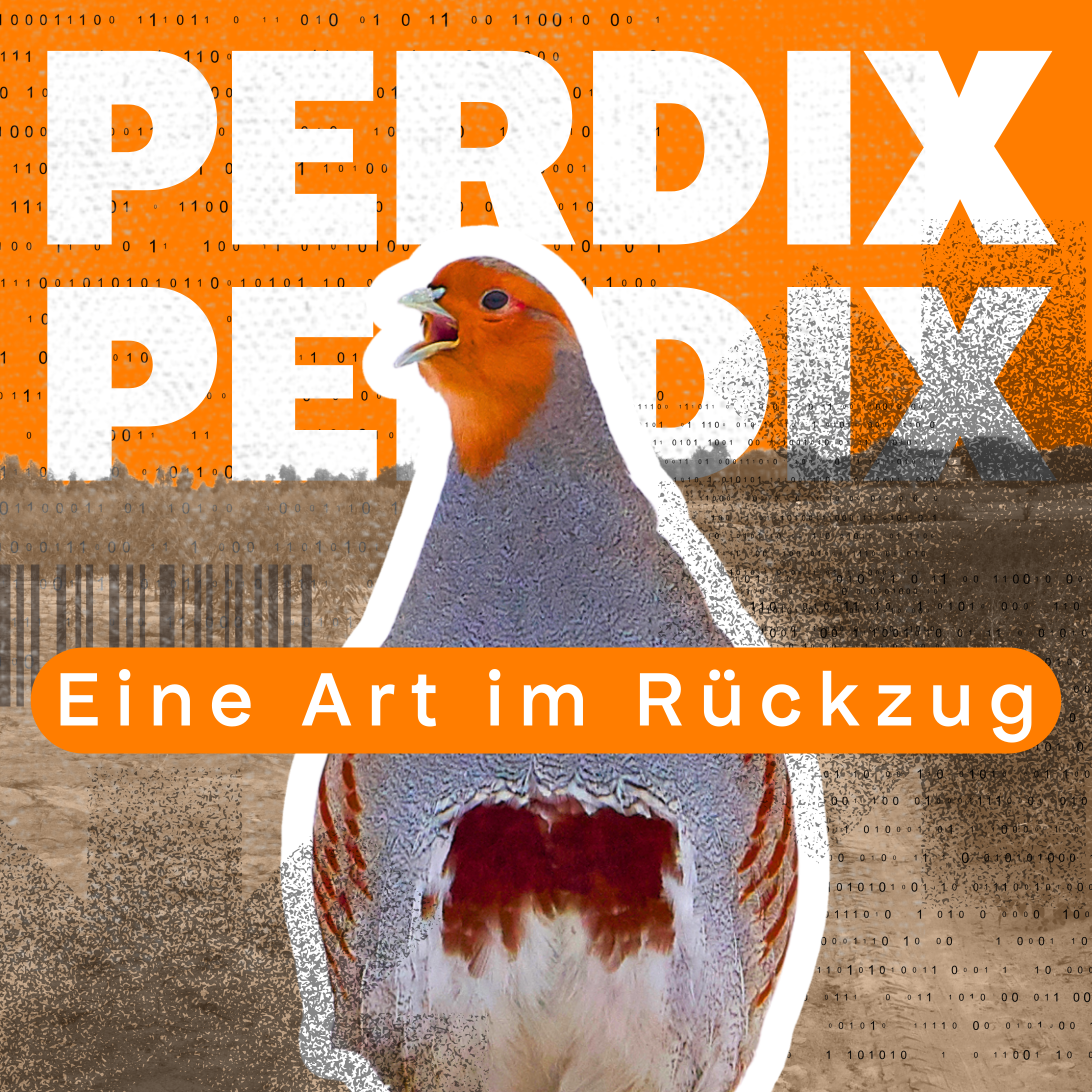 _Wildwuchs 2026 1×1 ThumbnailsHintergründe (1165 x 1165 px) (1)