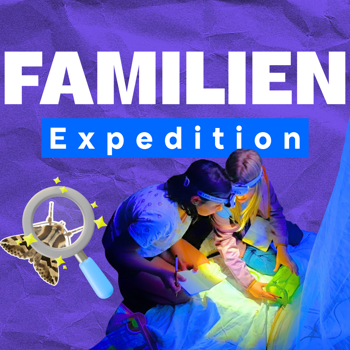 _Wildwuchs 2026 1×1 ThumbnailsHintergründe (1165 x 1165 px) (13)