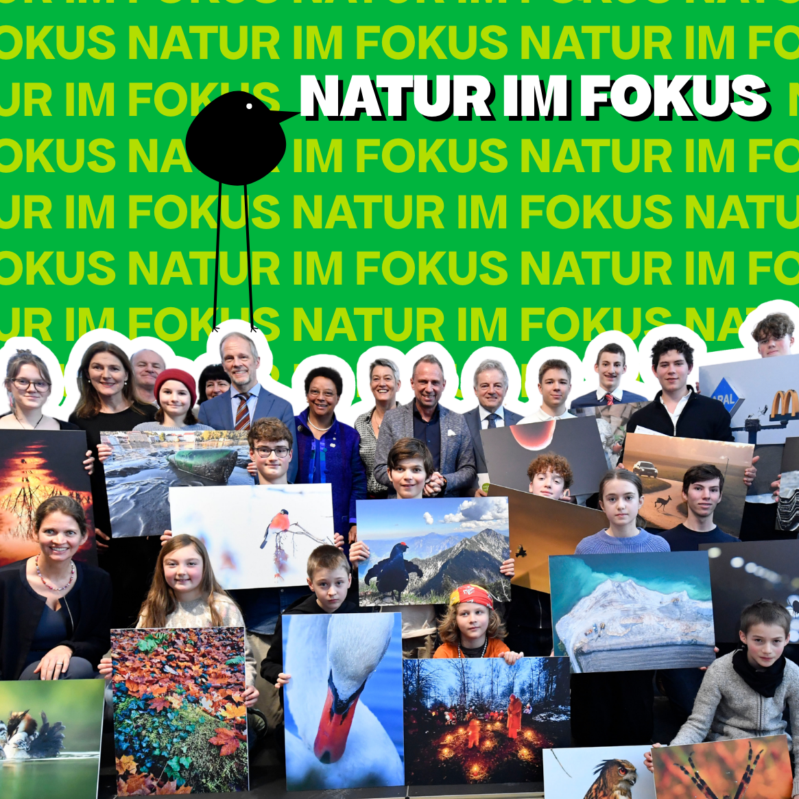 _Wildwuchs 2026 1×1 ThumbnailsHintergründe (1165 x 1165 px) (19)