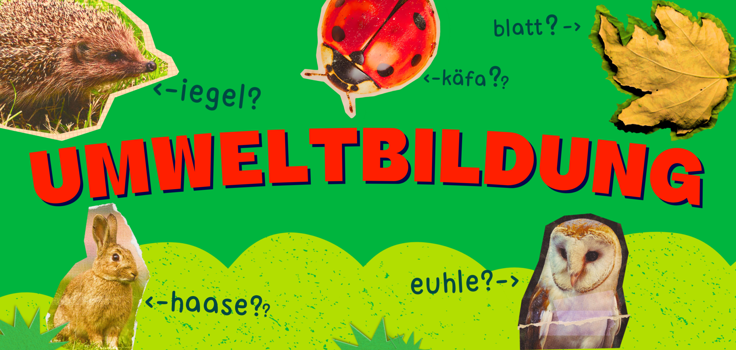 _Wildwuchs 2026 2×1 ThumbnailsHintergründe (59)