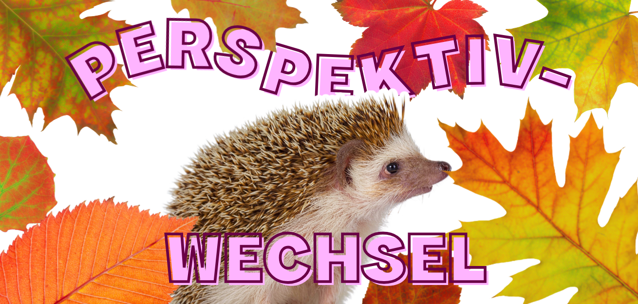 _Wildwuchs 2026 2×1 ThumbnailsHintergründe (62)