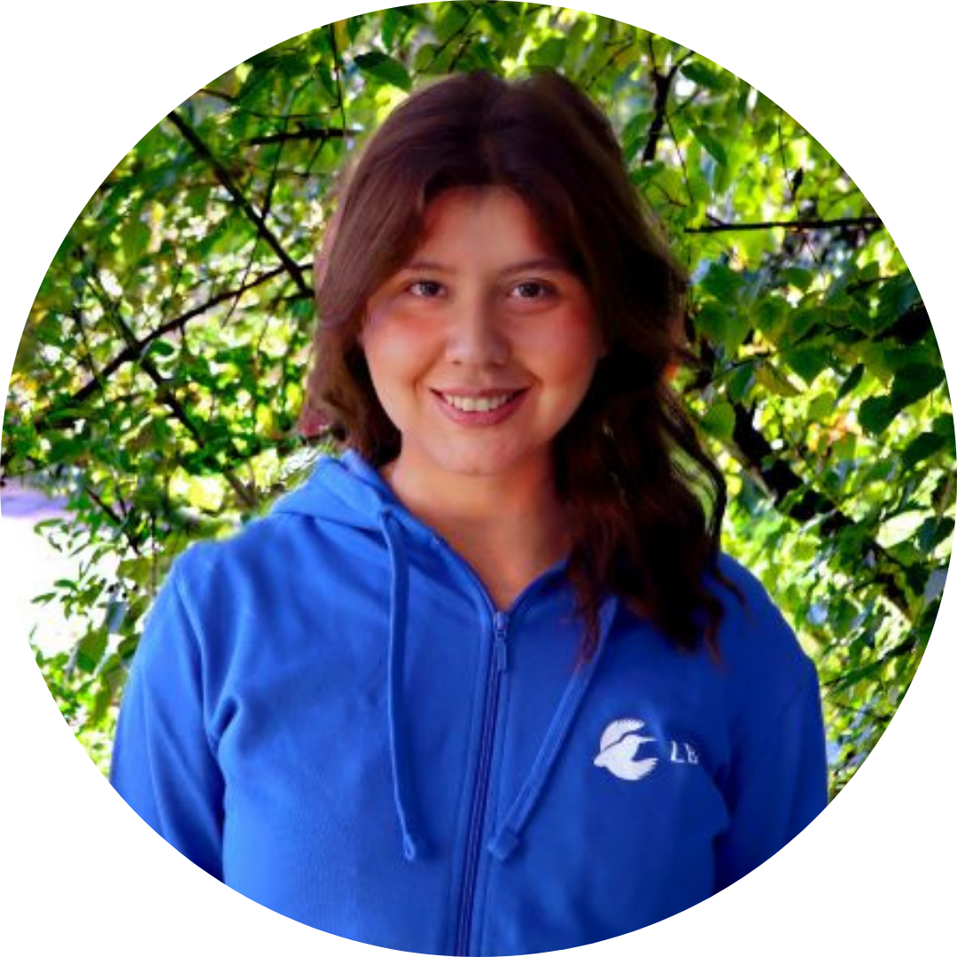 Design ohne Titel (56)