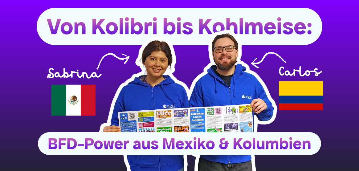 _Wildwuchs 2026 2×1 ThumbnailsHintergründe (71)